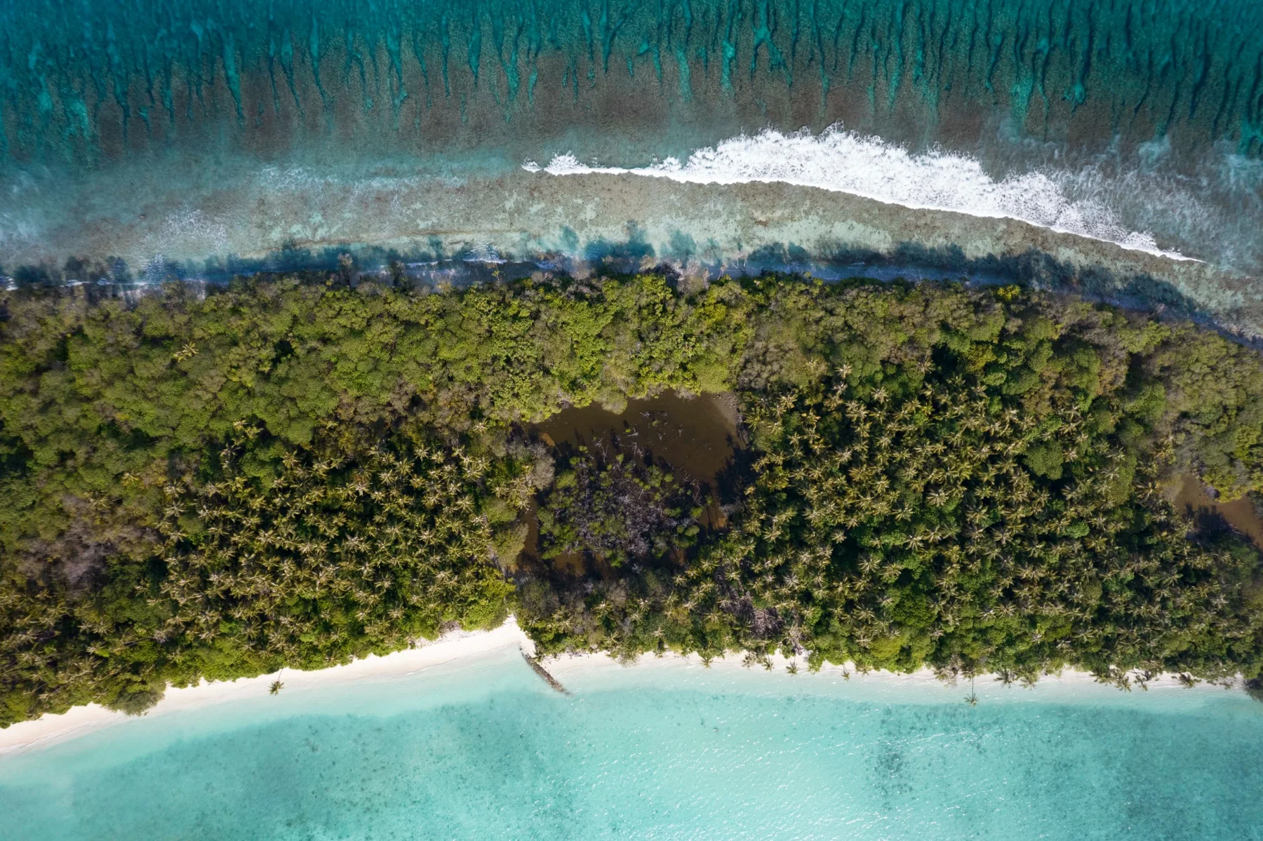 Aerial view of island vegetation and reef