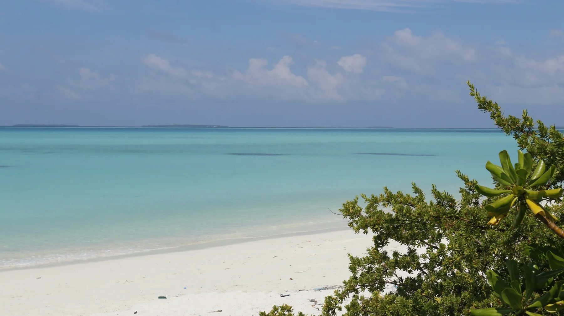 Clear lagoon